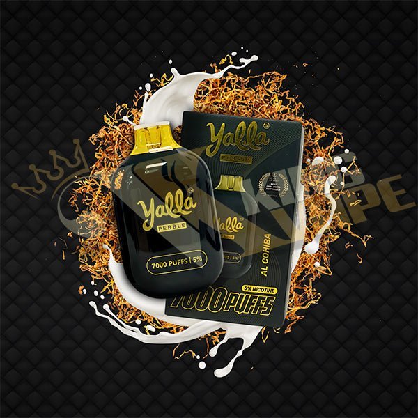 Yalla Pebble Disposable 7000 Puffs at King Vape Pakistan
