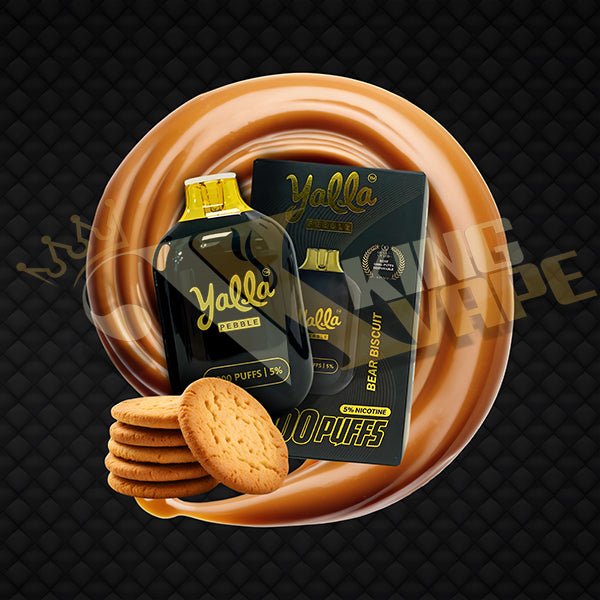 Yalla Pebble Disposable 7000 Puffs at King Vape Pakistan