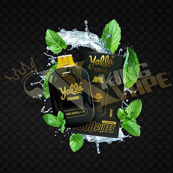 Yalla Pebble Disposable 7000 Puffs at King Vape Pakistan