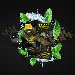 Yalla Pebble Disposable 7000 Puffs at King Vape Pakistan